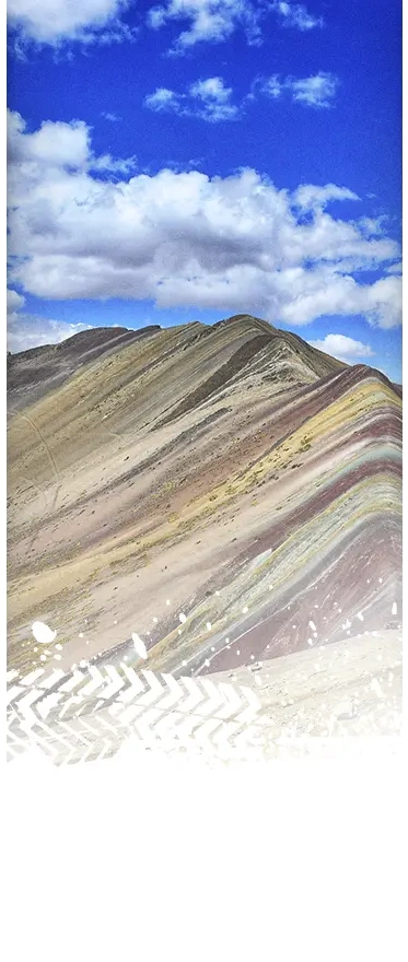 zona4 fara salvaje